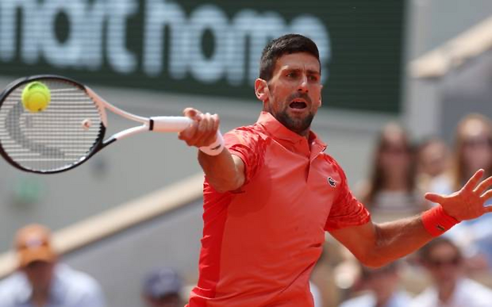 法国网球队横扫意大利网球队，德约科维奇高光表现