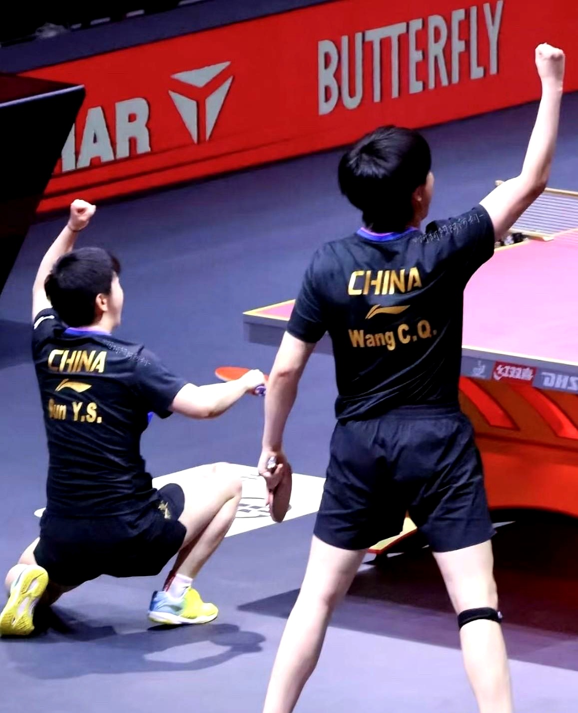 包含中国乒乓球队碾压韩国乒乓球队，波尔爆发神勇的词条