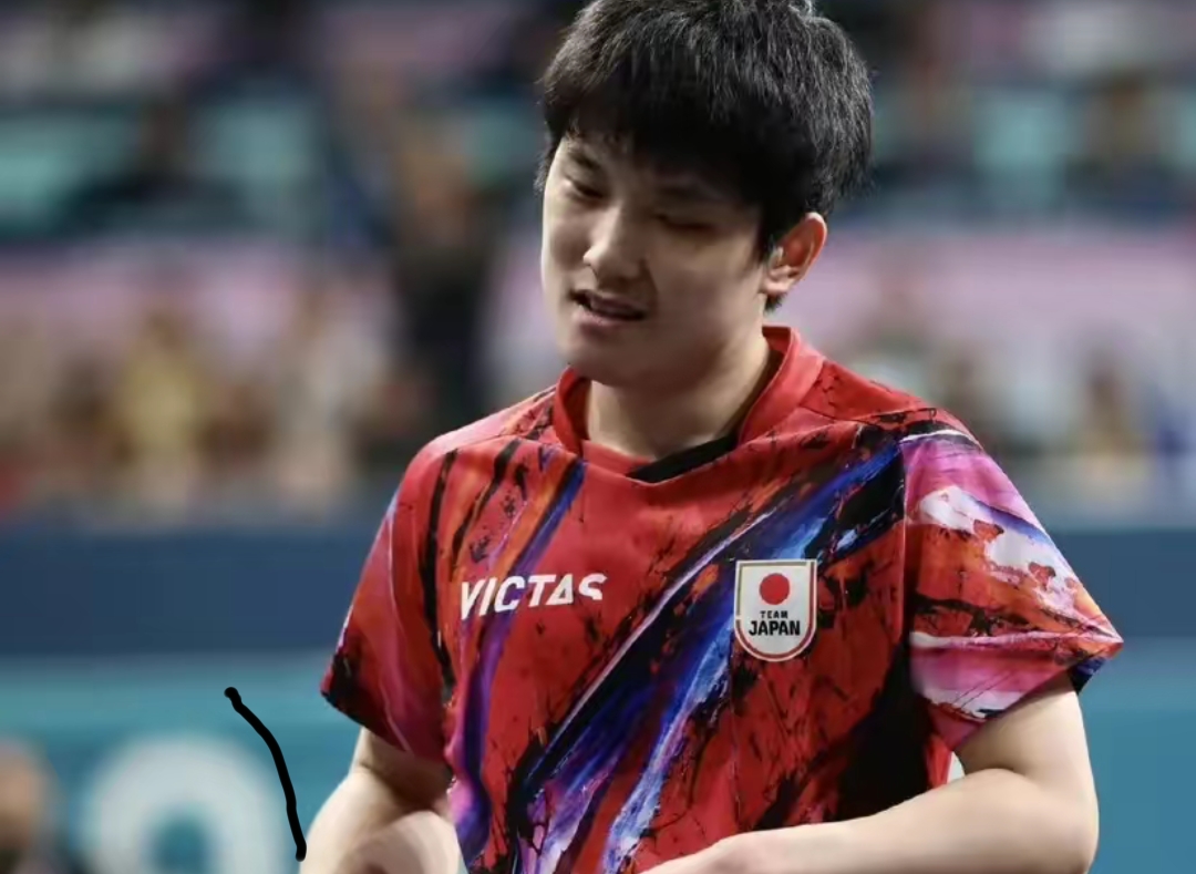 日本乒乓球队横扫比利时乒乓球队，张本智和送出助攻
