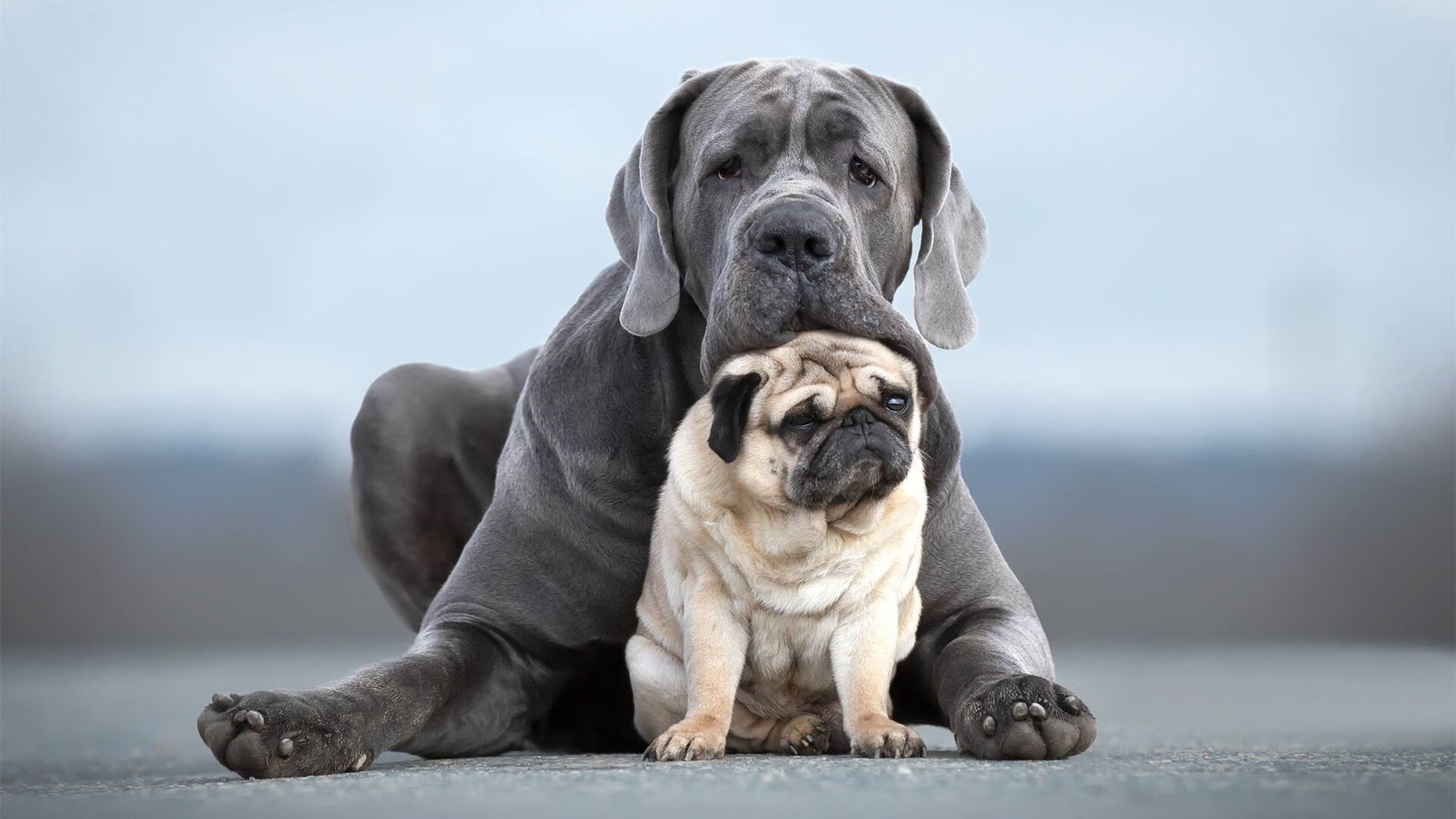 一步胜负手，半生英雄名