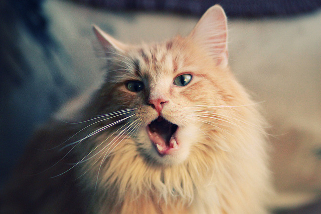 篮板边缘与三分线外，纪录的两端