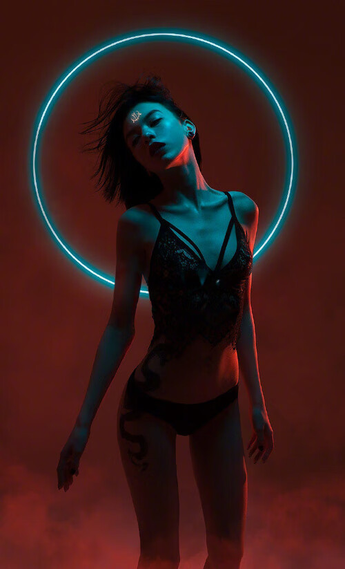 红军队长之夜，范戴克欧冠50战铸就安菲尔德不朽盾牌