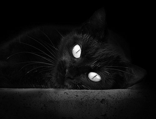 双面神哈登悄然变身，从助攻魔法师到得分终结者的唯一之战