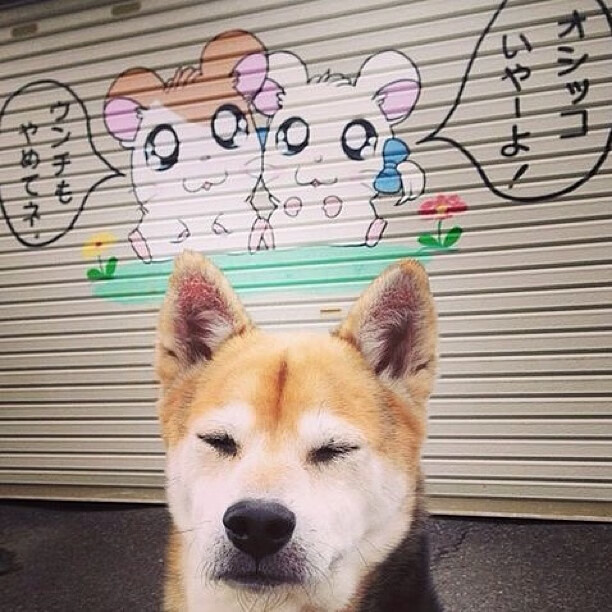 战壕里的艺术与无声惊雷，论篮球比赛的唯一性