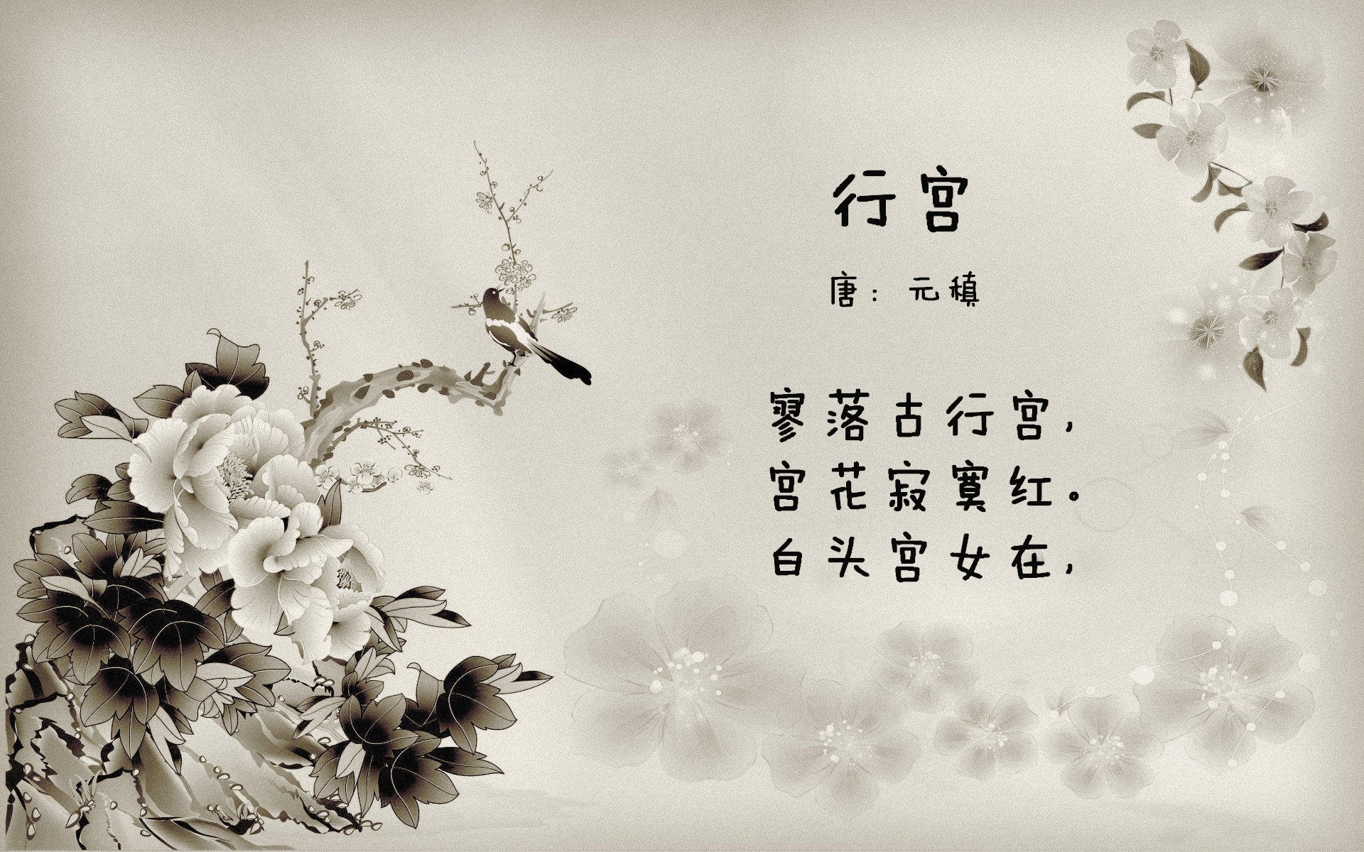 最后的舞者与觉醒的战车,2026年世界杯C组,魔笛绝唱与德国回归的十字路口