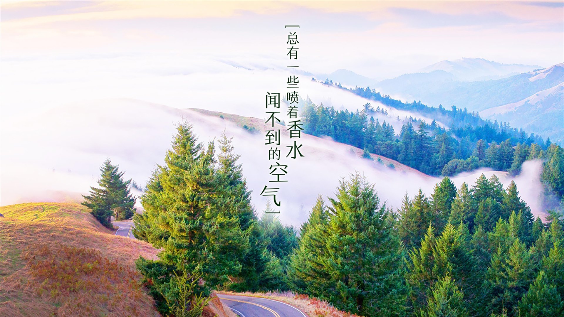 郁金香绽放奥斯陆之夜,2026世界杯生死战,荷兰完胜挪威,贝林厄姆导演惊天逆转